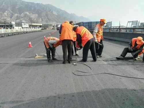 平武道路桥梁病害治理